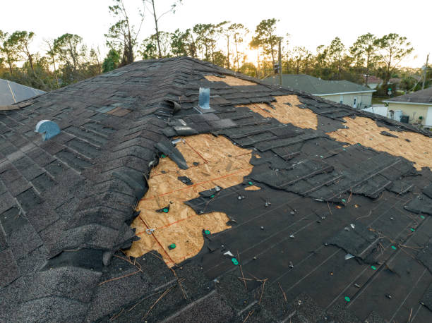 Best Metal Roofing Installation  in West Liberty, OH