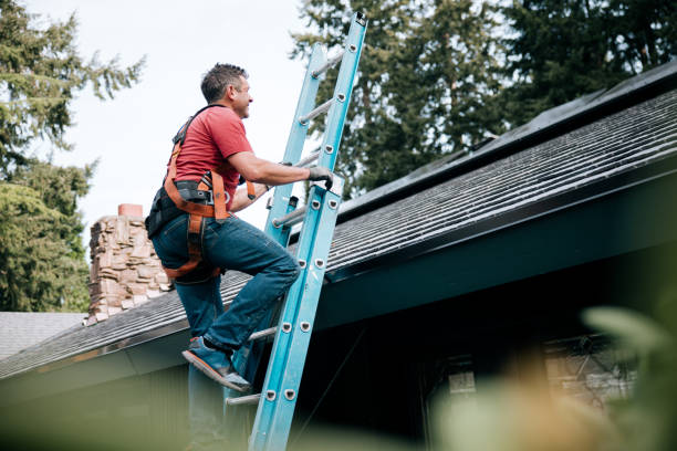 Best Asphalt Shingles Roofing  in West Liberty, OH